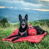 Kurgo Hunde-Rucksack Baxter M Rot Produktbild-Vorschau 7