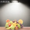 4x 5W Led Einbaustrahler Kaltweiß Led Spots Strahler Spots Produktbild-Vorschau 7