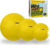 Maximus Power Play Ball gelb, Durchmesser: 75 cm Produktbild-Vorschau 9