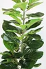 Künstliche Pflanze 115 cm Ficus Lyrata Kunstpflanze Produktbild-Vorschau 3