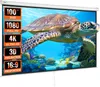 Projektion Beamer Leinwand 254 cm HD 4K Outdoor Indoor Produktbild-Vorschau 1