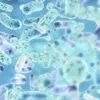 A close-up, abstract view of bacteria or microorganisms. Anteprima dell’immagine prodotto