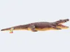 Johntoy Crocodile Soft Touch, 60 cm Produktbild-Vorschau 4