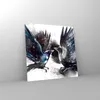 Bilder auf glas - Vogel Natur Feder - 70x70cm - Glasbilder Produktbild-Vorschau 4
