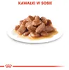 Royal Canin Hairball Care Gravy, Adult, jede Rasse, Muschel Produktbild-Vorschau 13