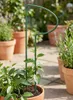 Support pour plantes vivaces en métal 70 cm (x1) - Support Voir les images du produit 11