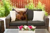 MuchoWow® Outdoor Kissen - Schottisches Hochlandrind - Produktbild-Vorschau 5
