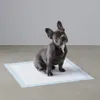 A French bulldog puppy sits on a disposable puppy pad on a gray floor with a light gray wall in the background. Produktbild-Vorschau