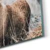 DEQORI Hybrid Leinwand Bild 60x30 cm 'Wächter der Berge' Produktbild-Vorschau 5