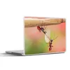 MuchoWow® Laptop Aufkleber Sticker Cover Ameisen - Stängel Produktbild-Vorschau 1