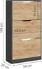 Schuhkipper Vicco Luca Anthrazit/Goldkraft Eiche 59 x 105 Produktbild-Vorschau 2