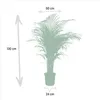 Areca-Palme Dypsis lutescens Ø24cm 130cm Betelpalme Produktbild-Vorschau 4