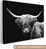 MuchoWow® - Leinwandbilder - Schottischer Highlander - Kuh Produktbild-Vorschau 1
