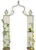 DanDiBo arco di rose in metallo per arrampicata 93969 Anteprima dell’immagine prodotto 14