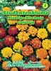 Studentenblume Niedrige Mischung  | Studentenblumensamen Produktbild-Vorschau 4