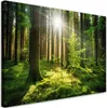 Leinwandbild  Waldbäume Natur 120x80 Feeby Grün bild für Produktbild-Vorschau 1