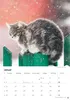 Katzen Kalender 2027 Produktbild-Vorschau 2