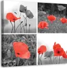 Leinwandbild rote mohnblumen set 60x60 cm Feeby rot Produktbild-Vorschau 1