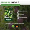 Maracuja Passionsfrucht Samen - Passiflora edulis - Produktbild-Vorschau 8