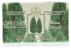 Nesti Dante Cipresso (250 gr) Produktbild-Vorschau 2