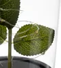MT MALATEC Rose éternelle en verre Lumière LED Boîte cadeau Voir les images du produit 12