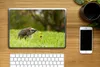MuchoWow® Laptop Aufkleber Sticker Cover Igel im Gras Produktbild-Vorschau 2