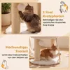 COSTWAY Katzenbaum in peluche, con tiragraffi, piattaforma Anteprima dell’immagine prodotto 4