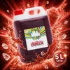 Rainbow sirop slush fraise 5 litres concentré 1:5 pour Voir les images du produit 10