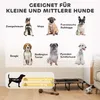 PawHut - Lettino rialzato pieghevole per cani, lettino per Anteprima dell’immagine prodotto 8