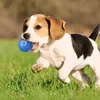 FALLING BALL INTERAKTIVNÍ hračka pro kočky USB vibrační LED Náhled obrázku produktu 7