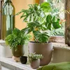 Blumenübertopf "Tusca" aus Keramik H 20 cm – Ø 22,5 cm Produktbild-Vorschau 2