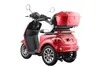 Elektro Seniorenmobil E-Trike Pro 1000Watt, 25 km/h rot mit Produktbild-Vorschau 4