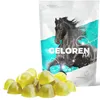 GELOREN Paarden - Gewrichtssupplement voor paarden - 450g Productafbeelding-voorbeeld 2