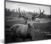 MuchoWow® Gerahmtes Poster Tiere - Hirsch - Geweih - Produktbild-Vorschau 1