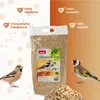 PANTO Erdnusskerne blanchiert 10kg - Wildvogelfutter Produktbild-Vorschau 2