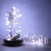 Two glass containers with fairy lights and natural elements inside, set against a light wooden background. Voir les images du produit