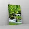 Bilder auf glas - Einteilig - Stream Wald Natur - 80x120cm Produktbild-Vorschau 4