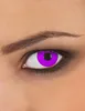 Zoelibat 3 Monats‑Kontaktlinsen Purple Gothic für violette, Produktbild-Vorschau 2