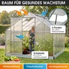 BRAST Gewächshaus Aluminium mit Fundament | 310x250x205cm | Produktbild-Vorschau 6