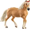 Zwierzę domowe - klacz rasy haflinger Podgląd zdjęcia produktu 3