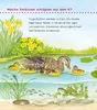 Unkaputtbar: Erstes Wissen: Tiere und ihre Kinder Produktbild-Vorschau 4