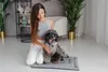 Hundebett für Katzen, Hundematte, Welsti grau M 70x50 Produktbild-Vorschau 3