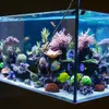 Algenschaber, Algenschaber Reiniger, Aquariumschaber, Produktbild-Vorschau 4