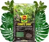 A bag of Compo Sana soil for houseplants and palms, surrounded by large green leaves. Náhľad obrázku produktu