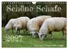 Schöne Schafe (Wandkalender 2027 DIN A4 quer), CALVENDO Produktbild-Vorschau 1