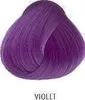La Richè Directions Violet 89 ml Produktbild-Vorschau 2