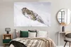 MuchoWow® Poster Schneeleopard - Schnee - Gelb 180x120 cm - Produktbild-Vorschau 4