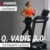 HAMMER Laufband Q. Vadis 3.0, 12 Programme, 5 PS, 18 km/h, Produktbild-Vorschau 3