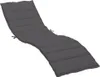 A dark gray chaise lounge cushion on a white background. Voir les images du produit
