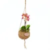 Kokodama Phalaenopsis (L) Náhled obrázku produktu 5